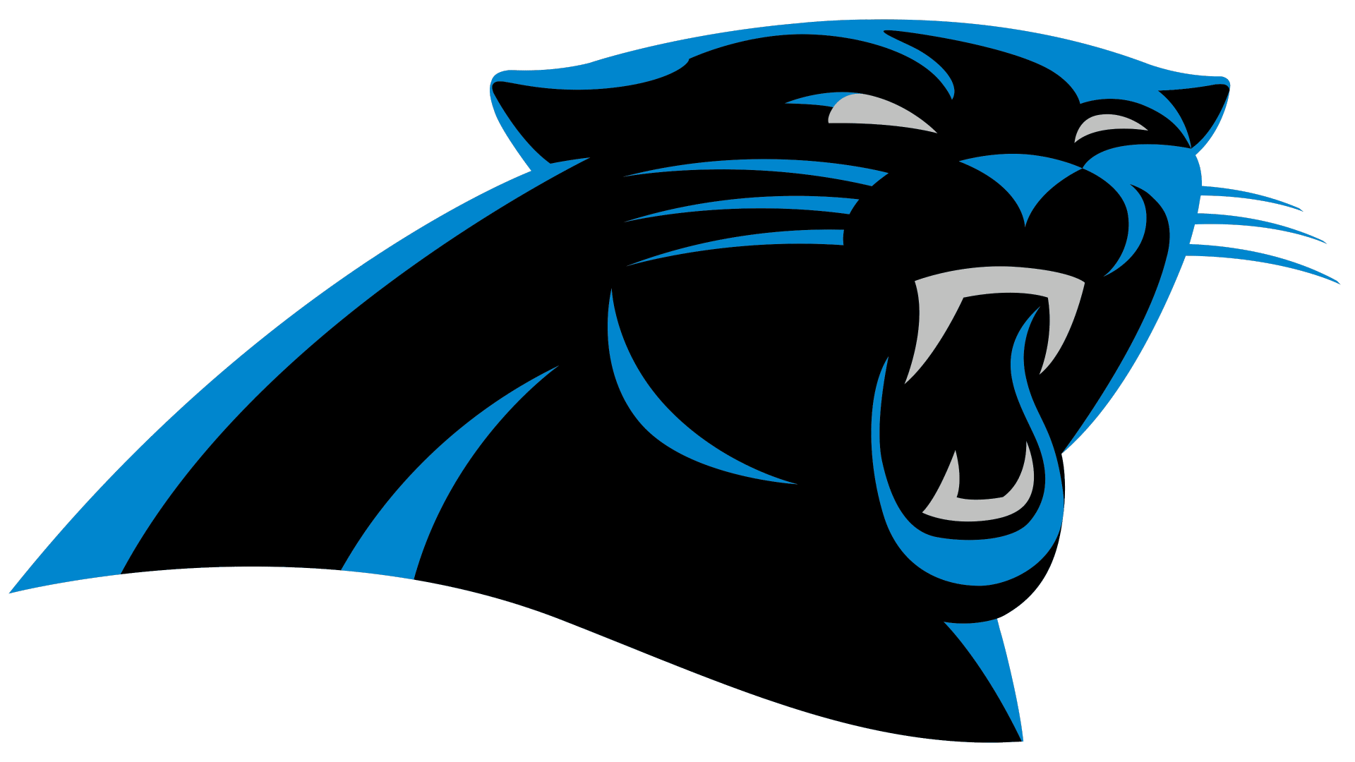 Carolina Panthers stay alive in NFC South with win over Atlanta